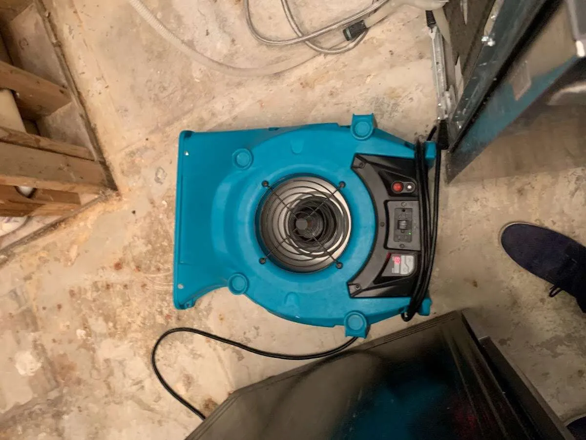 Air mover drying equipment for Mold Remediation & Removal in Rincon